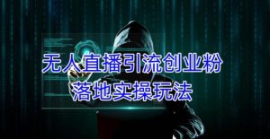 外面收费3980的无人直播引流创业粉落地实操玩法，单日引100+精准创业粉-新手副业项目