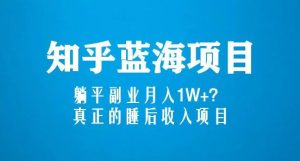 知乎蓝海玩法，躺平副业月入1W+，真正的睡后收入项目（6节视频课）-新手副业项目