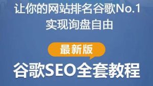 谷歌SEO实战教程：如何让你的网站在谷歌排名第一，内容从入门到高阶，适合个人及团队-新手副业项目