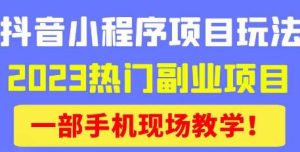 抖音小程序9.0新技巧，2023热门副业项目，动动手指轻松变现-新手副业项目