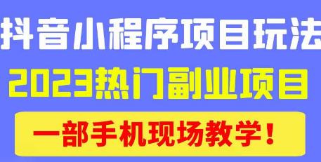 抖音小程序9.0新技巧，2023热门副业项目，动动手指轻松变现-新手副业项目