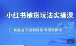 小红书铺货玩法实操课，流量大，竞争小，非常好做，新赛道，可复制性强，可团队操作-新手副业项目
