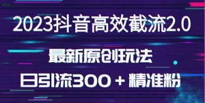 日引300＋创业粉，独家抖音高效截流2.0玩法（价值1280）-新手副业项目