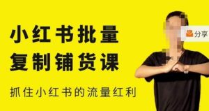 张宾·小红书批量复制铺货课，小红书0-1快速起号变现玩法，抓住小红书的流量红利（更新2023年3月）-新手副业项目