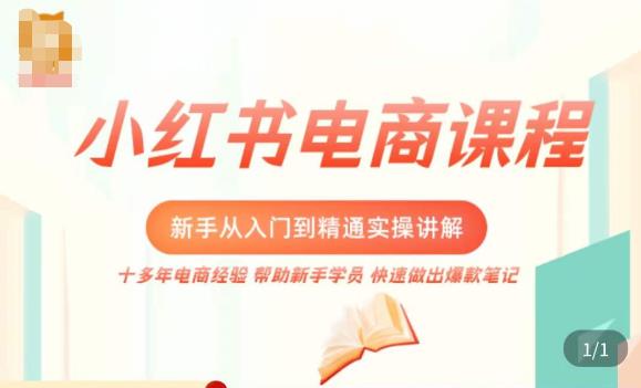 小红书电商新手入门到精通实操课，从入门到精通做爆款笔记，开店运营-新手副业项目