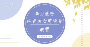 抖音快手暴力涨粉美女混剪视频教程，百分百过原创图片教程！附带违规申诉方法-新手副业项目