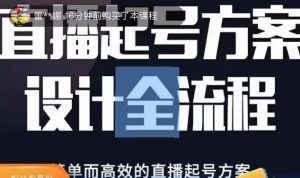 2023正价控流起号课,直播起号方案设计全流程,简单而高效的直播起号方案-新手副业项目