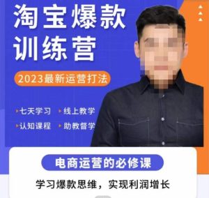爱上黄昏·淘宝爆款训练营，2023最新运营打法，学习爆款思维，实现利润增长-新手副业项目