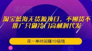 淘宝蓝海无货源项目,不囤货不推广只做冷门高利润代发,花一半时间赚10倍钱-新手副业项目