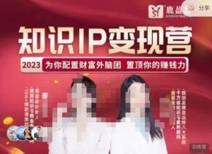 鹿盈盈-知识IP变现实操营，​普通人可复制的知识产品落地实操课，​带你打通知识IP变现底层逻辑-新手副业项目