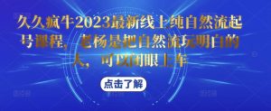 久久疯牛2023最新线上纯自然流起号课程,老杨是把自然流玩明白的人,可以闭眼上车-新手副业项目