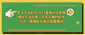老马实战起号2023直播间全套精细化实战运营，学会正确的起号方式，精细化长期运营直播间-新手副业项目