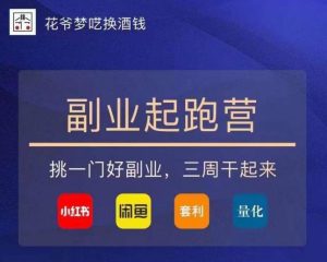 花爷-副业起跑营第2期，挑一门好副业，三周干起来（闲鱼｜小红书｜量化｜套利）-新手副业项目