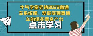 牛气学堂老衲2023直通车系统课，帮你实现直通车的低花费高产出-新手副业项目