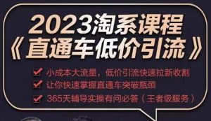 2023直通车低价引流玩法课程,小成本大流量,低价引流快速拉新收割,让你快速掌握直通车突破瓶颈-新手副业项目