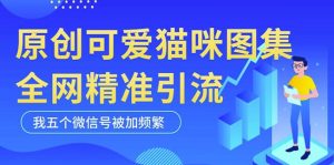 黑科技纯原创可爱猫咪图片，全网精准引流，实操5个VX号被加频繁-新手副业项目