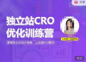 独立站CRO优化训练营，掌握独立站设计秘籍，打造高转化的独立站，让店铺ROI翻倍-新手副业项目