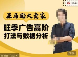 阿甘·亚马逊大卖家广告高阶打法与数据分析,走出传统广告误区;揭秘大卖惯用打法;数据驱动广告决策-新手副业项目
