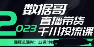 数据哥2023直播电商巨量千川付费投流实操课,快速掌握直播带货运营投放策略-新手副业项目