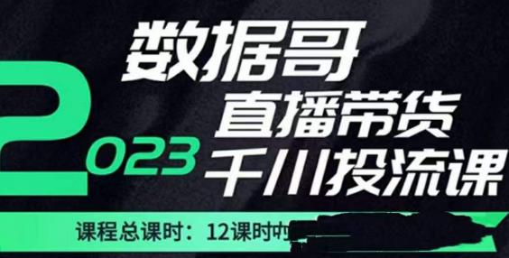 数据哥2023直播电商巨量千川付费投流实操课,快速掌握直播带货运营投放策略-新手副业项目
