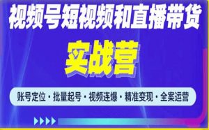 2023最新微信视频号引流和变现全套运营实战课程，小白也能玩转视频号短视频和直播运营-新手副业项目
