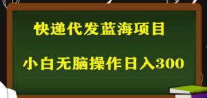 2023最新蓝海快递代发项目，小白零成本照抄也能日入300+-新手副业项目