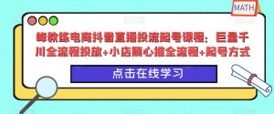 峰教练电商抖音直播投流起号课程：巨量千川全流程投放+小店随心推全流程+起号方式-新手副业项目