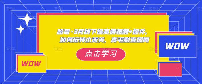 哈哥·3月线下实操课高清视频+课件，如何玩转小而美，高毛利直播间-新手副业项目