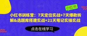 小红书训练营：7天定位实战+7天爆款拆解&选题库搭建实战+21天笔记实操实战-新手副业项目