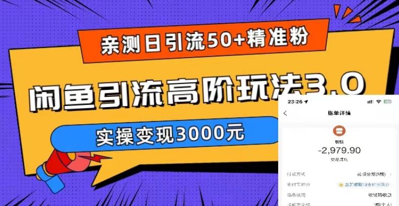 亲测日引50+精准粉，闲鱼引流高阶玩法3.0，实操变现3000元【揭秘】-新手副业项目