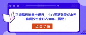 正规暴利流量卡项目,小白零基础零成本无脑照抄也能日入300+【揭秘】-新手副业项目