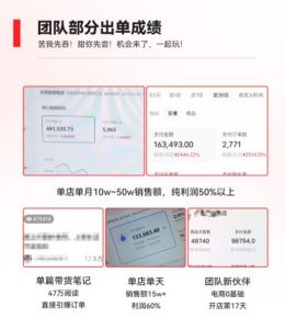 2023小红书电商火爆全网，新晋红利，风口项目，单店收益在3000-30000！-新手副业项目