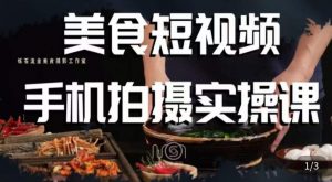 烁石·美食视频手机拍摄实操课,美食摄影理论、手机拍摄相关设置、剪辑调色、布光原理等内容-新手副业项目