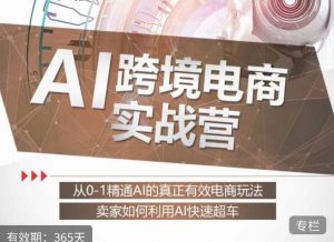 白龙老师·AI跨境电商实战营：从0-1精通Al的真正有效电商玩法，卖家如何利用Al快速超车-新手副业项目