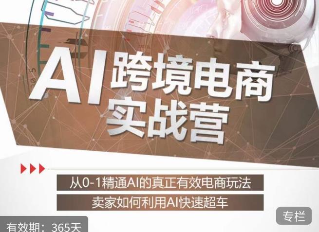 白龙老师·AI跨境电商实战营：从0-1精通Al的真正有效电商玩法，卖家如何利用Al快速超车-新手副业项目