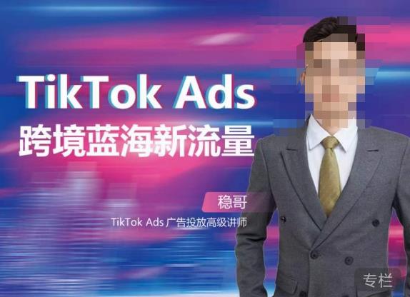 稳哥·如何投出高ROI的TikTok广告，开拓独立站卖家流量新蓝海-新手副业项目