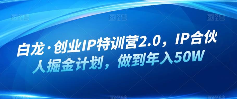 白龙·创业IP特训营2.0，IP合伙人掘金计划，做到年入50W-新手副业项目