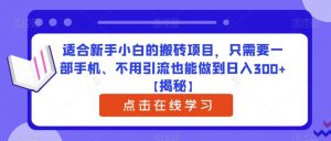 适合新手小白的搬砖项目，只需要一部手机、不用引流也能做到日入300+【揭秘】-新手副业项目