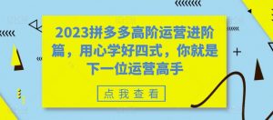 2023拼多多高阶运营进阶篇，用心学好四式，你就是下一位运营高手-新手副业项目