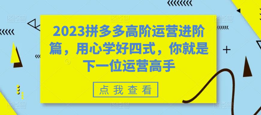 2023拼多多高阶运营进阶篇，用心学好四式，你就是下一位运营高手-新手副业项目