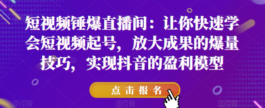 短视频锤爆直播间：让你快速学会短视频起号，放大成果的爆量技巧，实现抖音的盈利模型-新手副业项目