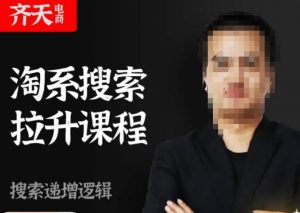 齐天电商·淘系搜索提升课程，​搜索递增标准化，动销标准化流程-新手副业项目