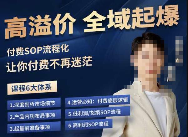 逸风-拼多多高溢价全域起爆，6大课程体系，付费玩法全套实操-新手副业项目