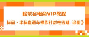 松鼠会电商VIP教程：松鼠《付费推广标品·半标直通车操作针对性答疑&诊断》-新手副业项目