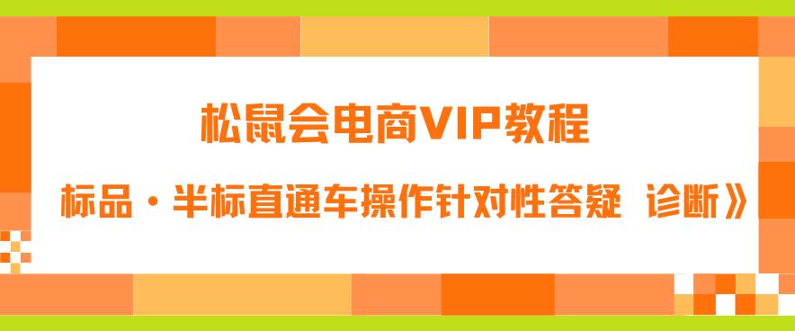 松鼠会电商VIP教程：松鼠《付费推广标品·半标直通车操作针对性答疑&诊断》-新手副业项目