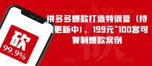 拼多多爆款打造特训营（持续更新中)，199元*100套可复制爆款案例-新手副业项目