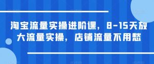 淘宝流量实操进阶课，8-15天放大流量实操，店铺流量不用愁-新手副业项目