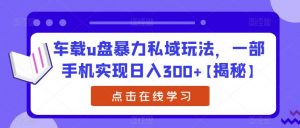 车载u盘暴力私域玩法，一部手机实现日入300+【揭秘】-新手副业项目