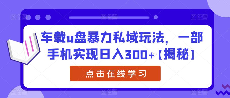 车载u盘暴力私域玩法，一部手机实现日入300+【揭秘】-新手副业项目