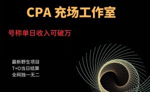 cpa充场工作室，号称单日收入10000+（揭秘）-新手副业项目